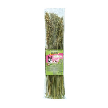 Getrocknetes Heu für kleine Haustiere, verpackt in einer klaren Tüte mit einem bunten Etikett, das einen Hasen und ein Meerschweinchen zeigt, 120g.