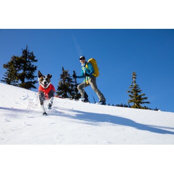 Ein glücklicher Hund in einer roten Jacke läuft durch den Schnee, während eine Person in einer blauen Jacke und einem gelben Rucksack einen Hang in einer verschneiten Landschaft hinaufgeht.