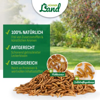 Haufen getrockneter Mehlwürmer und Soldatenfliegenlarven mit HühnerLand-Logo und grünem Text: '100% NATÜRLICH, ARTGERECHT, ENERGIEREICH'.