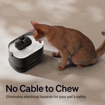 Braune Katze trinkt aus einem schwarzen Haustier-Wasserbrunnen; sichtbarer Text: 'No Cable to Chew' und 'Eliminates electrical hazards'.