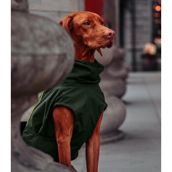 Ein brauner Hund in einem dunkelgrünen Regenmantel sitzt elegant neben einem Steinsäule und blickt nachdenklich in die Ferne.