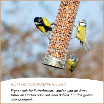 Drei kleine Vögel fressen Erdnüsse aus einem hängenden Metall-Vogelfutterspender, mit deutschem Text zu Fütterungsempfehlungen.