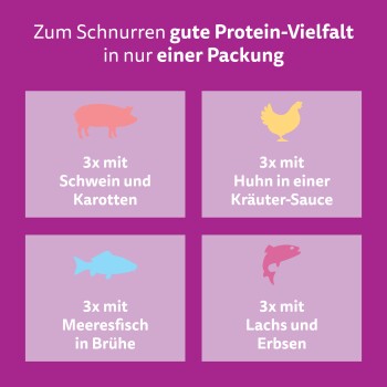 Grafik mit Tierfutter, deutscher Überschrift und vier Geschmacksrichtungen: 3x Schwein & Karotten; 3x Huhn & Kräuter; 3x Meeresfisch-Brühe; 3x Lachs & Erbsen.