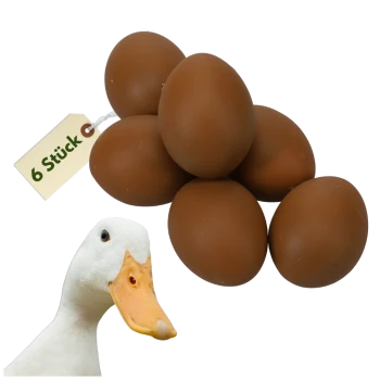 Sechs braune Eier mit Etikett "6 Stück" und einem weißen Entenkopf.