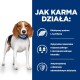 Beagle na niebieskim tle podkreśla korzyści z karmy dla psów: L-karnityna, mieszanka błonnika i klinicznie udowodnione przeciwutleniacze.