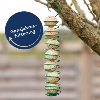 Ein grüner Spiralfütterer auf einem Baumzweig hält runde Vogelfutterbälle und ein blaues Etikett mit der Aufschrift "Ganzjahresfütterung."