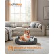 Frodo der Corgi entspannt sich in einem grauen Haustierbett in einem stilvollen Wohnzimmer, mit Details zu seinem Modell, Gewicht und Alter.