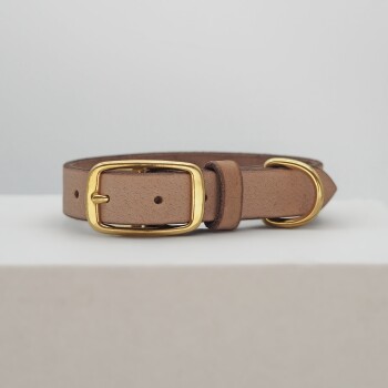 Ein braunes Lederhalsband für Haustiere mit einer goldenen Schnalle und Schlaufe, auf einer hellen Oberfläche vor einem neutralen Hintergrund präsentiert.