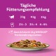 Bild eines Fütterungsleitfadens für Katzenfutter mit einem bunten Teller Katzenfutter. Der Text enthält Fütterungsempfehlungen für 3 kg, 4 kg und 5 kg Katzen.