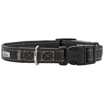 Schwarzer Lederhundehalsband mit beigem Nähten, mit einem silbernen D-Ring und einer Kunststoffschnalle, beschriftet mit "HUNTER."