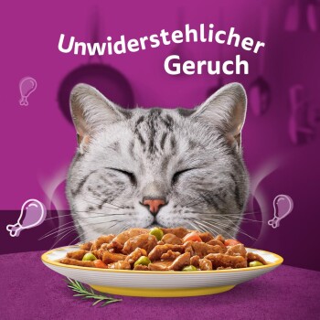 Eine zufriedene graue getigerte Katze mit geschlossenen Augen genießt das Aroma eines Tellers mit Haustierfutter, mit dem Text "Unwiderstehlicher Geruch" darüber.
