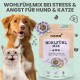 Eine glückliche Katze und ein Hund neben einem "Wohlfühlmix"-Paket zur Stressbewältigung, das Vorteile und eine Passionsblumenillustration zeigt.