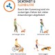 Ruckdämpfer Hund klein u. groß | stark | Elastische, robuste Leinenverlängerung L