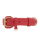Ein lebhaft rotes Lederhalsband für Haustiere mit einer goldenen Schnalle und verstellbarem Riemen, geprägt mit "WILLIAM & KATE."
