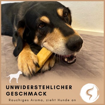 Ein schwarz-brauner Hund, der auf einem gelben Knochen kaut, mit dem Text 'UNWIDERSTEHLICHER GESCHMACK' und 'Rauchiges Aroma, zieht Hunde an' darunter.