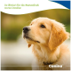 Golden Retriever blickt nach oben; grünes Banner mit Text „So fördert ihr die Gesundheit eures Hundes“ und Canina‑Logo.