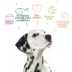 Un dalmatien souriant avec des taches noires, entouré de bulles de texte colorées sur la nutrition et le bien-être des animaux de compagnie.