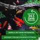 Bunte Koi-Fische in einem dunklen Teich mit einem grünen "365 TAGE"-Logo und deutschem Text über hochproteinhaltige Granulate für stressfreies Füttern.