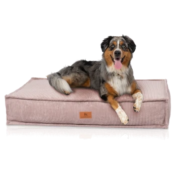 Ein glücklicher Australian Shepherd Hund, der auf einem weichen, rosa Cord-Haustierbett mit einem Lederetikett, das "KNUFFERWUFF" liest, entspannt.