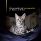 Silbergetigerte Katze liegt entspannt, mit deutschem Text 'Hilft nachweislich die Darmgesundheit und -balance zu fördern'.
