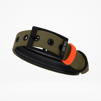 Ein stilvolles Hundehalsband in Olivgrün mit einer schwarzen Schnalle und einem orangefarbenen Akzent, mit dem Text "THE DOG IDEA."