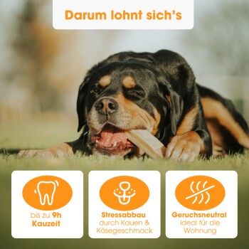 Bild zeigt vier Größen von Hundekauartikeln, beschriftet mit S, M, L und XL, mit entsprechenden Gewichtsspannen und Hundebildern zur Größenreferenz.