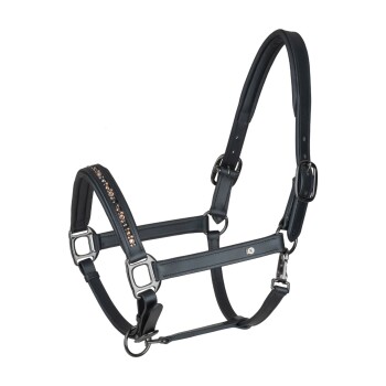 Schwarzes Haustiergeschirr mit dekorativen Strasssteinen, mit verstellbaren Riemen und Metallverschlüssen für einen sicheren Sitz.