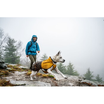 Ein weißer Hund, der eine gelb-braune Jacke trägt, läuft auf einem felsigen Pfad, während eine Person in einer blauen Jacke in einem nebligen Wald in der Nähe geht.