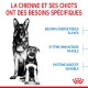 Image d'un Berger Allemand et d'un chiot avec un texte sur leurs besoins spécifiques : énergie, système immunitaire et digestion.