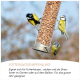 Drei kleine Vögel fressen Erdnüsse aus einem hängenden Metallvogelfutterspender, mit deutschem Text zu Fütterungsempfehlungen.
