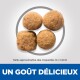 Quatre croquettes rondes pour animaux, d'environ 14x14mm, affichées sur un fond clair avec le texte "UN GOÛT DÉLICIEUX" en bas.