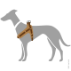 Illustration eines grauen Hundes, der ein braunes Geschirr mit zwei Metallringen trägt, mit einer Seitenansicht des Hundes.