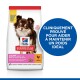 Science Plan Small & Miniature Light Adult 1+, Poulet 2x1,5 kg
