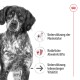 Medium Ageing 10+ 3 kg