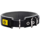 Schwarzer Hundehalsband mit grauer Polsterung, mit einem gelben BVB-Logo und einer Metallschnalle, entworfen für Komfort und Haltbarkeit.