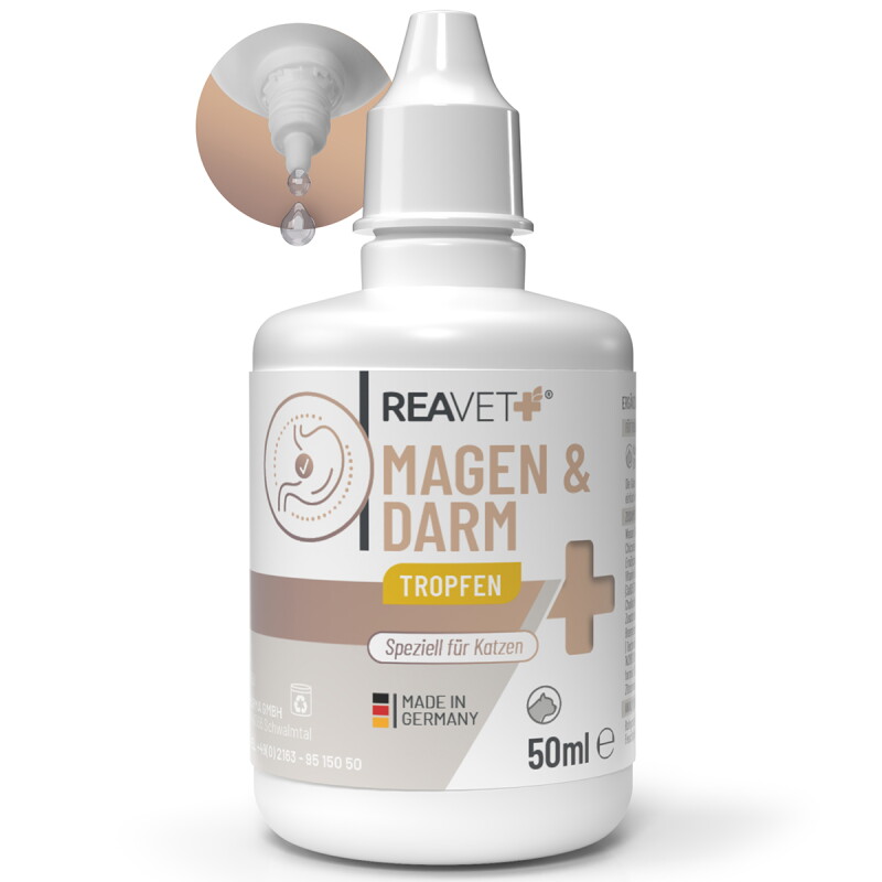 REAVET Magen & Darm Tropfen Katzen 50ml