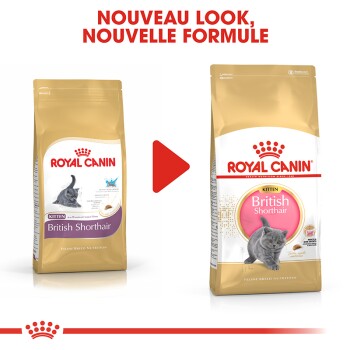 ROYAL CANIN Croquettes chat British Shorthair Adult