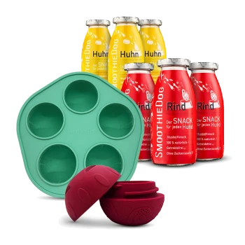 Flaschen mit SmoothieDog Hundesnacks in Gelb (Huhn) und Rot (Rind) mit grünem Silikonform und rotem Leckerli-Ball.