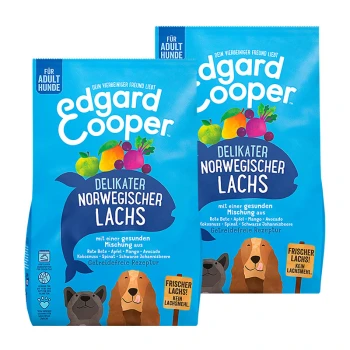 Zwei Säcke Edgard Cooper Hundefutter, "Delikater Norwegischer Lachs," mit bunten Früchten, Gemüse und einem getreidefreien Lachsrezept.