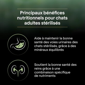 Infographie (en français) : « Principaux bénéfices nutritionnels pour chats adultes stérilisés » — icônes pour la santé des voies urinaires et des reins.