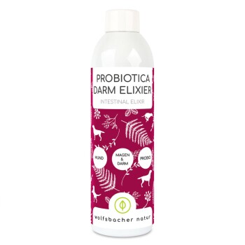 Probiotika für Hunde