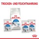 Royal Canin Katzenfutter-Display: eine große Tüte "Home Life Indoor 27" und drei "Indoor Sterilised" Beutel mit einer Katzenillustration.
