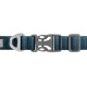 Nahaufnahme eines blauen Hundehalsbands mit einer silbernen Schnalle und einem metallischen D-Ring zur Leinenbefestigung, beschriftet mit "RUFFWEAR."