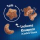 Bild von Hundeleckerlis in Form von Sternen und Monden, mit einer Größenreferenz von 1 cm, und dem Text "Leckeres Knuspern in jedem Bissen."