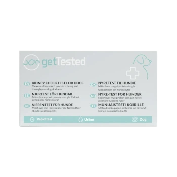 getTested Kidney Check Test für Hunde – Schnelltest (Urin) mit mehrsprachigen Anleitungen