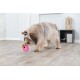 Ein flauschiger Hund mit einem hellbraunen Fell spielt mit einem leuchtend pinken Spielzeug auf einem Holzboden in einem modernen Raum.