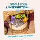 Chat gris dans un panier tressé avec sachets de nourriture pour chat ; texte français visible : « DÉSOLÉ POUR L'INTERRUPTION... »