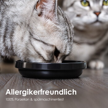 Eine verspielte graue Katzenpfote greift nach einer weißen Schüssel auf Marmor, teilweise verdeckt von grünen Blättern. Text: 'Kippsicher dank katzenfreundlicher Gestaltung.'