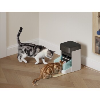 Zwei Katzen fressen Trockenfutter aus einem automatischen Futterspender mit der Aufschrift 'THOR' auf einem Holzboden an einer Wand.