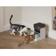 Zwei Katzen fressen Trockenfutter aus einem automatischen Futterspender mit der Aufschrift 'THOR' auf einem Holzboden an einer Wand.